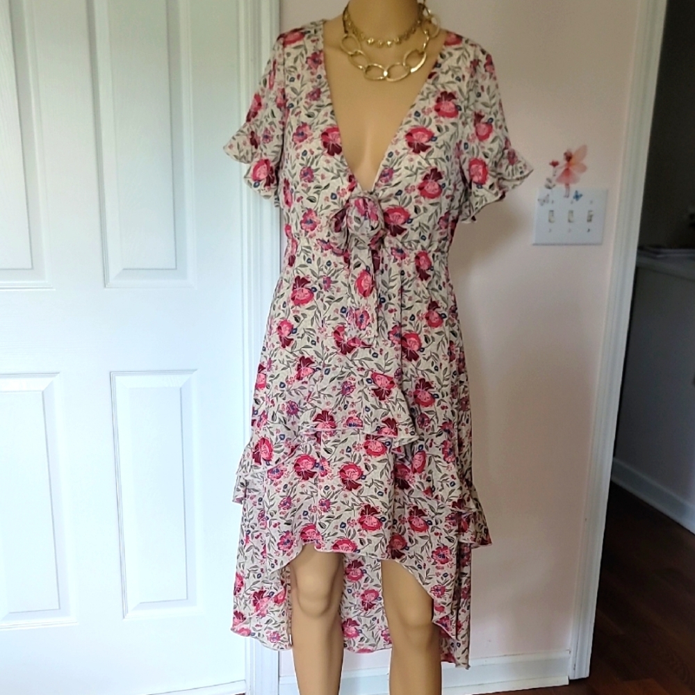 Nasty Gal Floral Pink Ruffle Dress sz 6